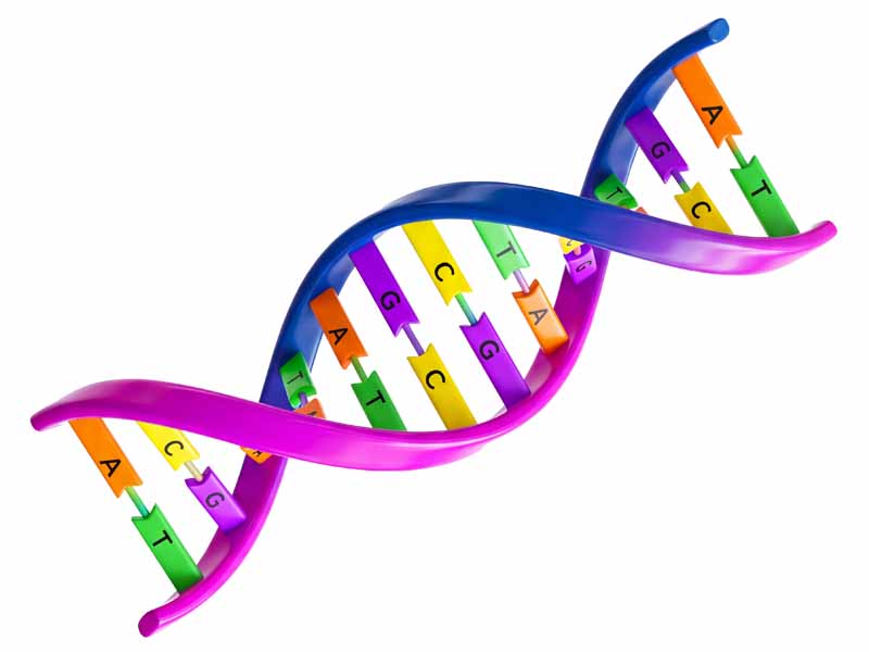 portfolio_800x600px_dna1